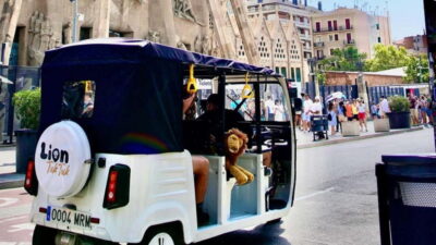 Private Hop-On Hop-Off Lion Tuk Tuk Tour