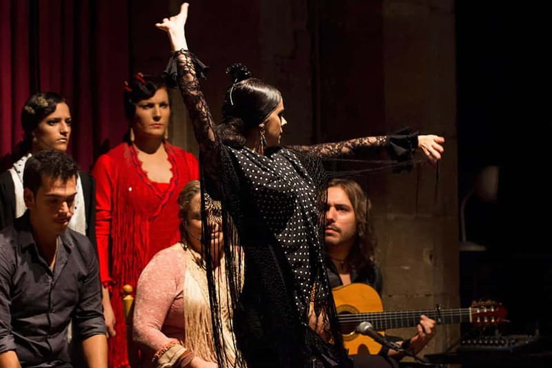 Barcelona: Private Tapas & Wine with Flamenco Show Old Town - Who this tour suits best, and who should pass