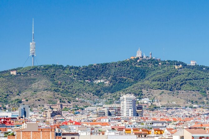 Barcelona Private Tour to Tibidabo Mountain - Stop 4: Temple de Sagrat Cor, a top-of-the-mountain church visit