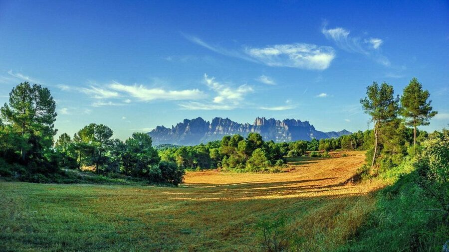 Barcelona: Sagrada Familia & Montserrat Full-Day with Pickup - Santa Maria de Montserrat: monastery time that is more than photos