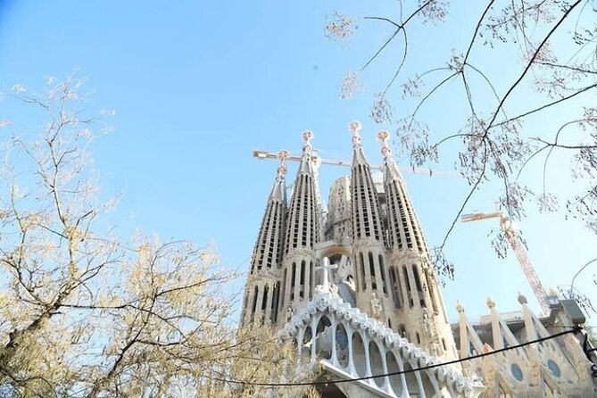 Barcelona: Sagrada Familia Skip The Line Insider Guided Tour - Inside the basilica: what the guide helps you notice