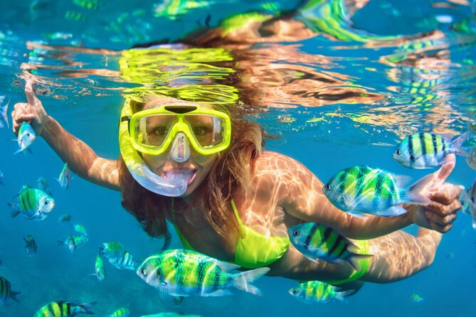 Barcelona Sailing Cruise and Party Passport Experience - How the yacht cruise sets the tone