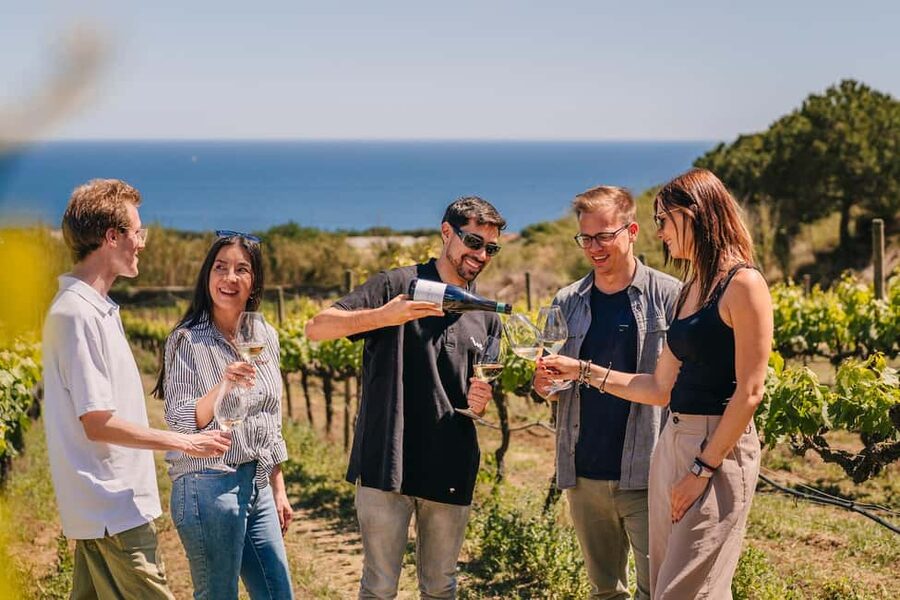 Barcelona: Sailing Cruise & Vineyard Tour with Wine Tasting - Key things that make this tour worth your time