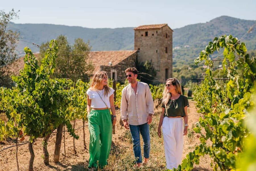 Barcelona: Sailing Cruise & Vineyard Tour with Wine Tasting - Alella’s winery stop: why this place feels special