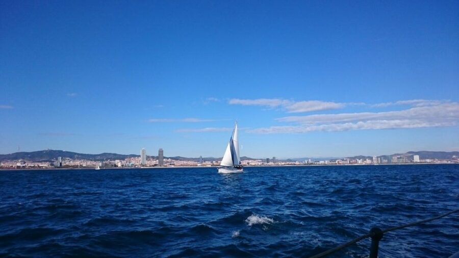 Barcelona: Sailing Tour with a Glass of Cava - Dolphins, tuna, and the kind of surprises worth hoping for