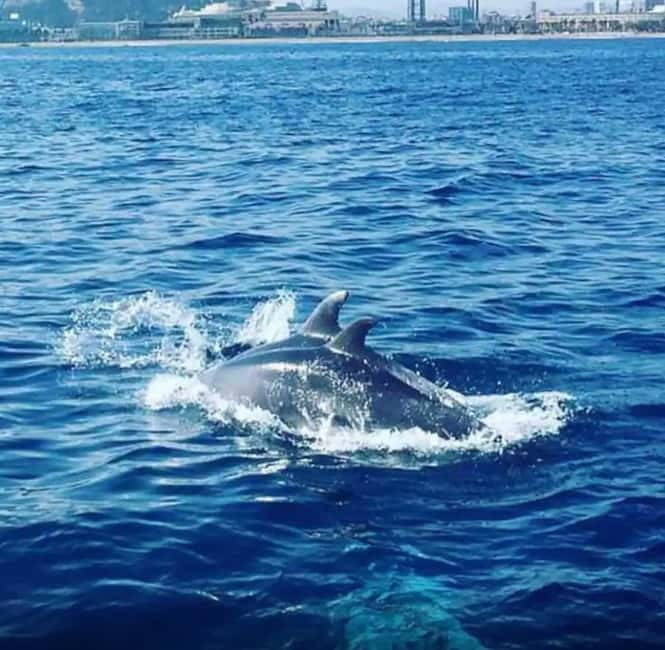 Barcelona: Sailing Tour with Drinks and Snacks - How the skyline sail works: 30 minutes of water-level Barcelona