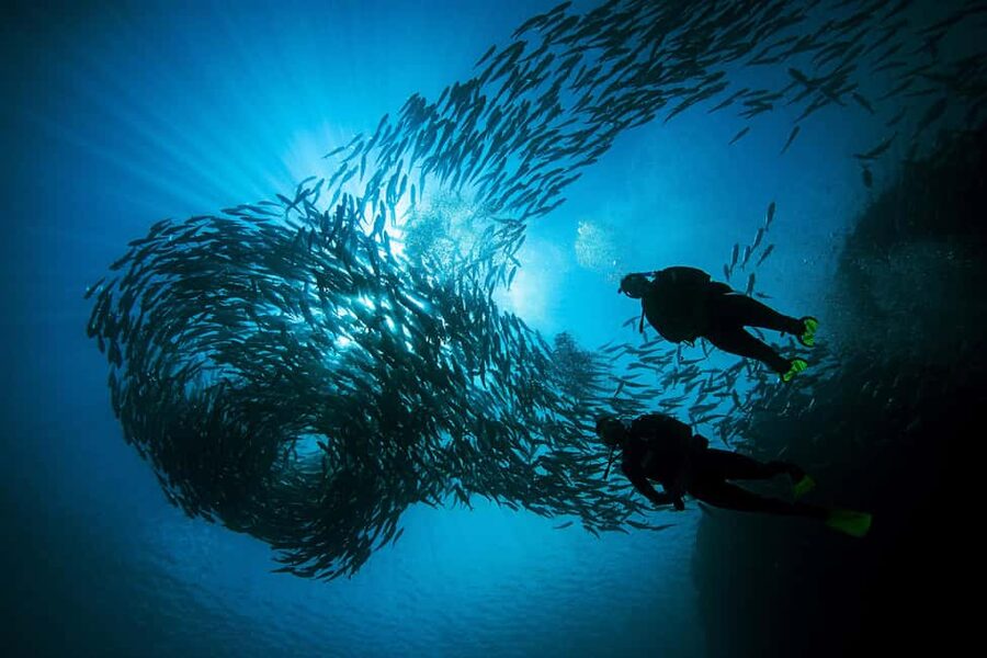 BARCELONA: SCUBA DIVING INITIATION - Dive in and experience underwater adventures - 2 hours - Key highlights at a glance