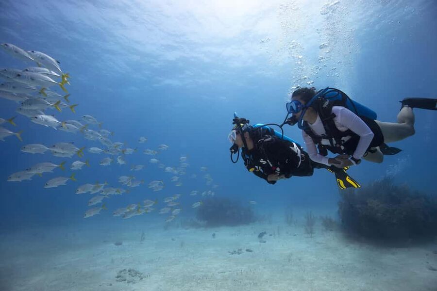 BARCELONA: SCUBA DIVING INITIATION - Dive in and experience underwater adventures - 2 hours - Olympic Port makes first-time scuba feel doable