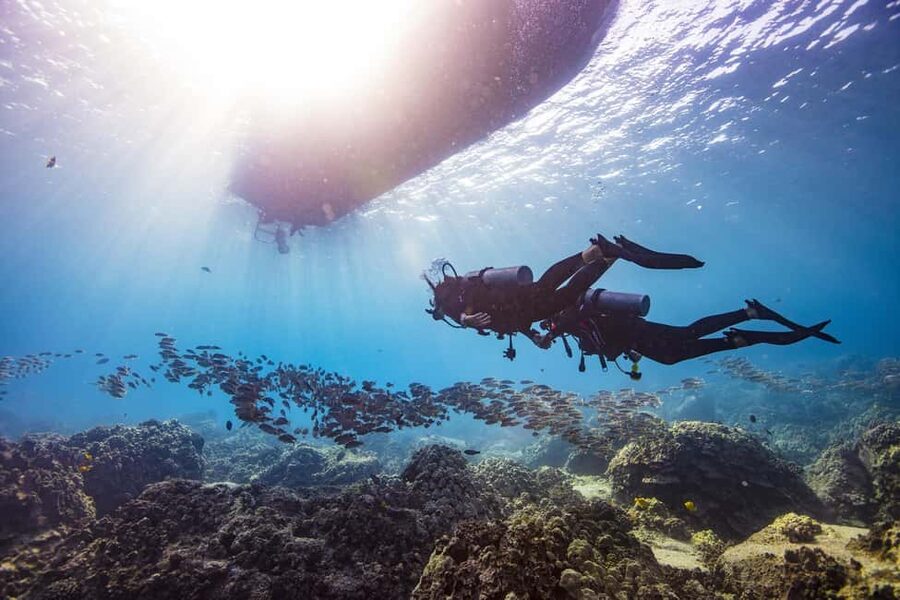 BARCELONA: SCUBA DIVING INITIATION - Dive in and experience underwater adventures - 2 hours - The 45-minute safety briefing that sets the tone