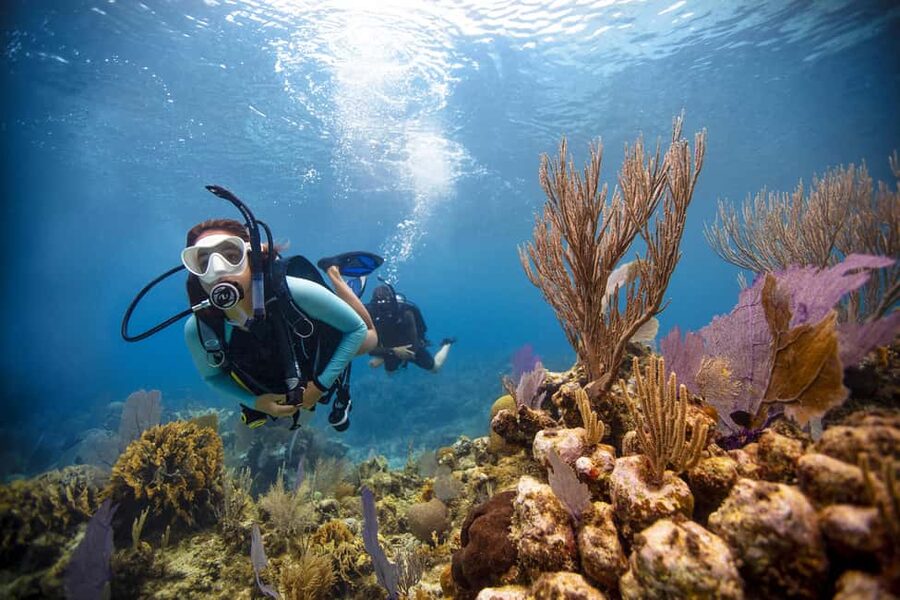 BARCELONA: SCUBA DIVING INITIATION - Dive in and experience underwater adventures - 2 hours - Where you meet and how you get there without stress