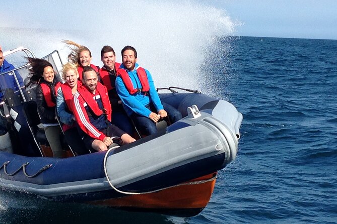 Barcelona Speedboat Coastline Tour - Key Highlights You Can Plan Around