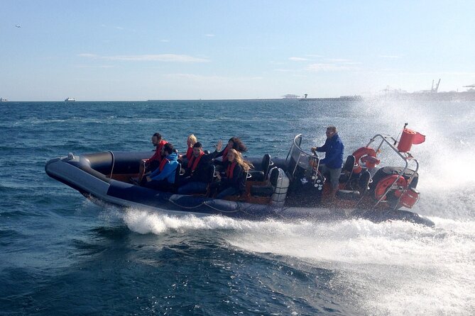 Barcelona Speedboat Coastline Tour - Guide Experience at the Dock: Check-In That Feels Human