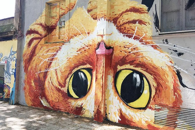 Barcelona Street Art and Graffitti Bicycle Tour - Practical details that affect your day