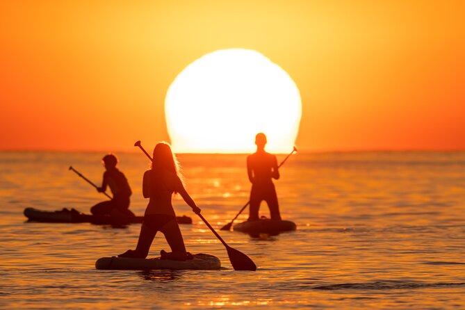 Barcelona: Sunrise Paddle Surf with Instructor and Photos - Who should book this sunrise paddle surf, and who might skip it