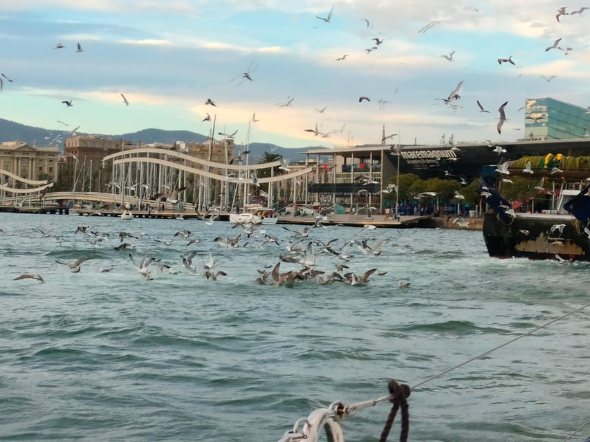 Barcelona: Sunset Cruise with Snacks and Drinks - Port Olímpic to Open Water: The Best City Views Start Early