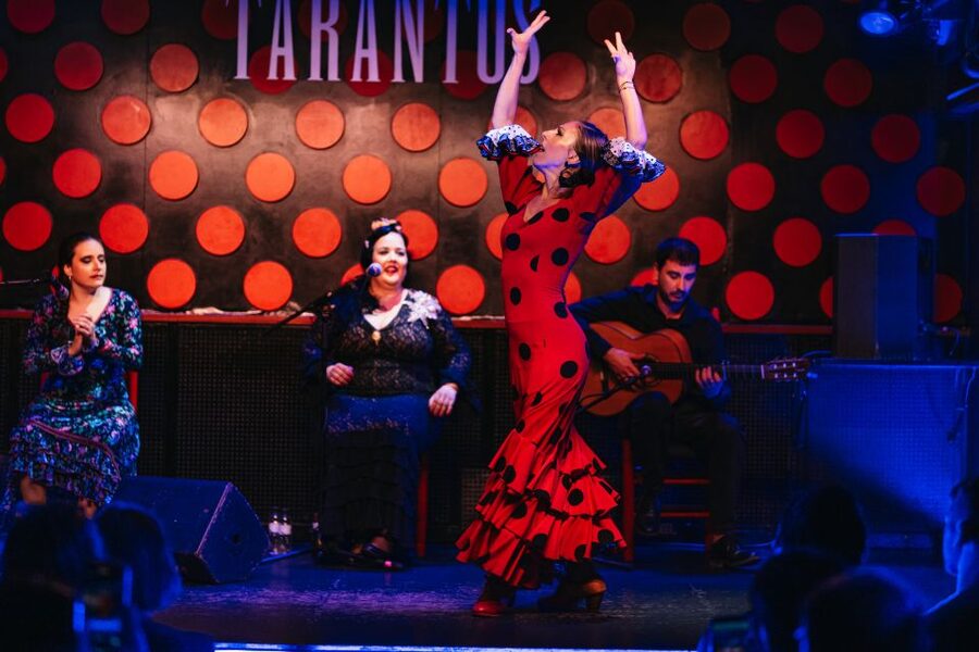 Barcelona: Tapas and Flamenco Experience - Flamenco show at the theater: what to watch in 30 minutes
