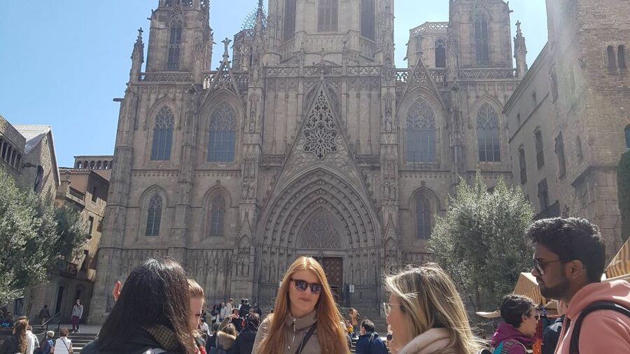 Barcelona: Tapas & Picasso Museum Guided Walking Tour - Who should book this tour, and who should maybe skip it