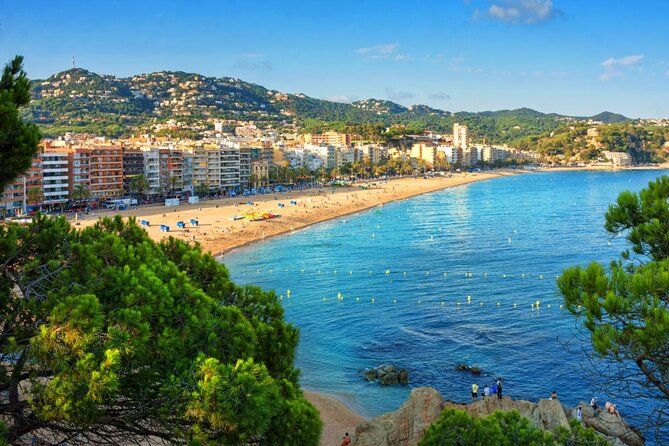 Barcelona to Andorra Private Transfer – Mercedes V-Class - What you’ll do in the car, and how flexible it feels