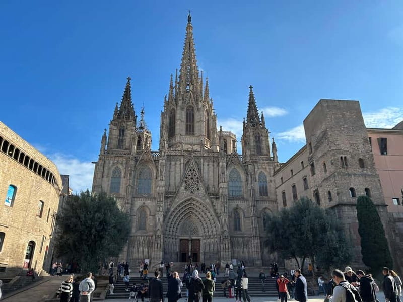 Barcelona: Top Sights by Bike Tour - Barcelona Cathedral and Plaça Sant Jaume: Finishing in the Heart of the City