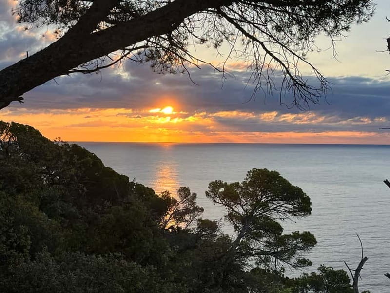 Barcelona: Tossa de Mar & Costa Brava boat, very small group - Why this early Costa Brava day makes the whole trip feel easier