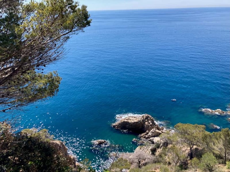 Barcelona: Tossa de Mar & Costa Brava boat, very small group - Boat ride into three caves: the part you remember months later