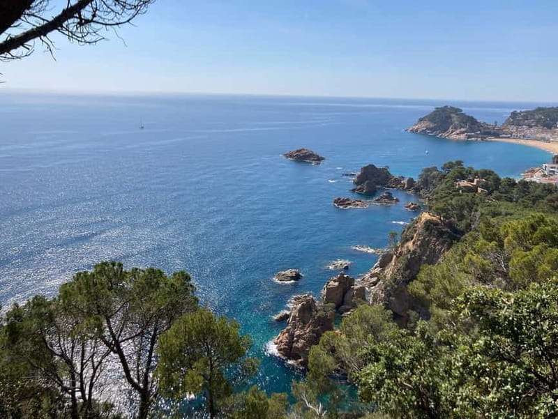 Barcelona: Tossa de Mar & Costa Brava boat, very small group - What the guide actually provides, and why it affects your day