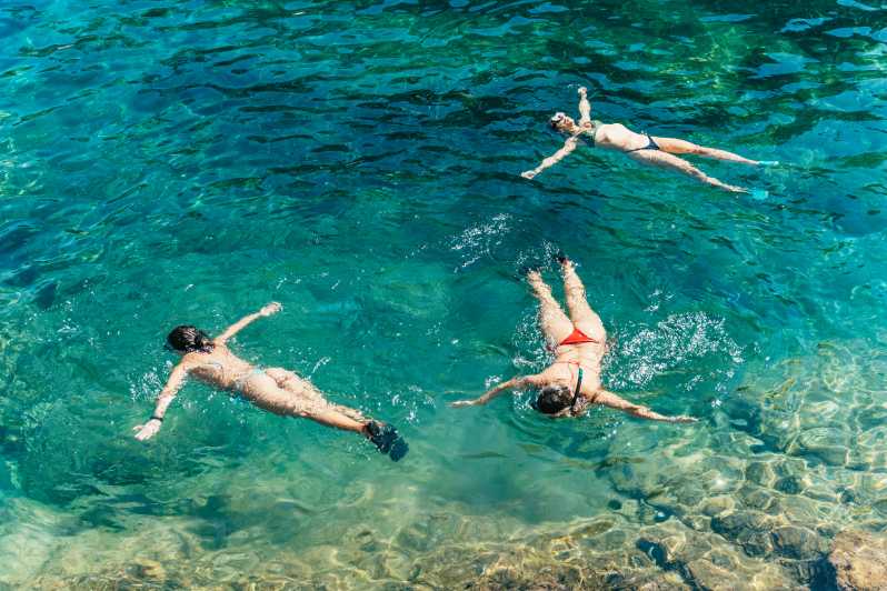 Barcelona: Tossa de Mar Kayak & Snorkel Tour w/3-Course Meal - Snorkeling in Crystal-Clear Water, With Wildlife Spotting