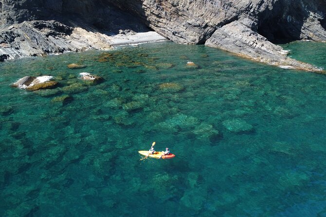 Barcelona Wild Experience: Kayak and Snorkel in Costa Brava - Key highlights that make this tour worth your time