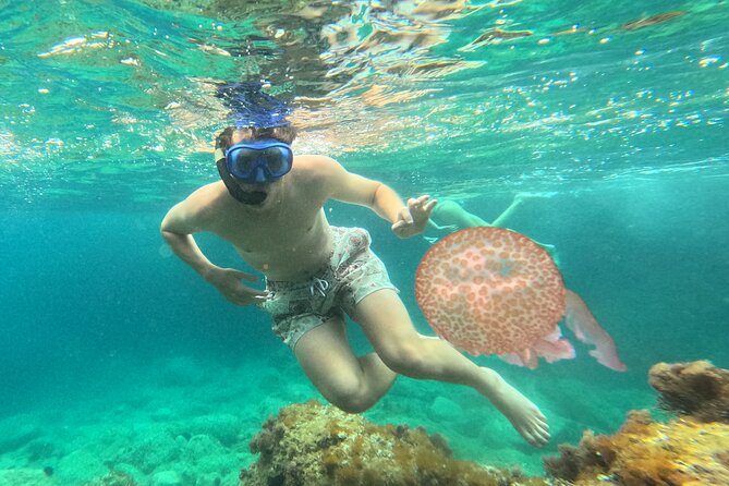 Barcelona Wild Experience: Kayak and Snorkel in Costa Brava - Rocky-coast paddling stops: the photos are part of the plan