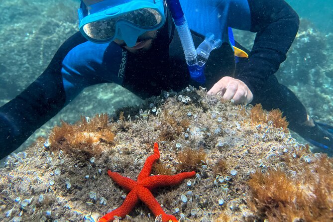 Barcelona Wild Experience: Kayak and Snorkel in Costa Brava - The guide makes it: Mario’s local insights and hands-on care