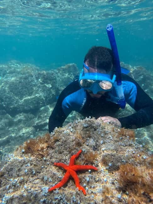 Barcelona Wild Experience: Kayak & Snorkel in Costa Brava - Price and value: is $141 a good deal?