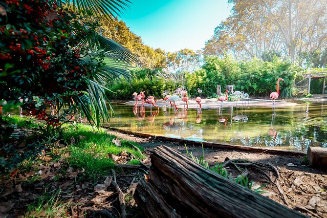 Barcelona Zoo Entrance Ticket - Barcelona Zoo in Parc de la Ciutadella: a park day with animal stops
