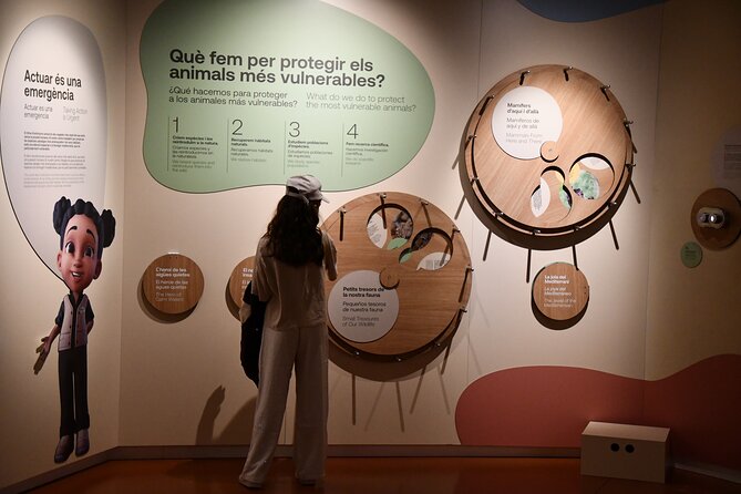 Barcelona Zoo Entrance Ticket - Dolphinarium windows: watching shows without the water problem