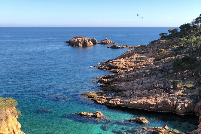 Cadaqués/Begur Private Luxury Tour Costa Brava by Mercedes Vogue - Key Things I’d Plan For on This Costa Brava Day