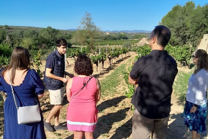 Cava tour to 3 family wineries with hotel pick-up - Timing, comfort, and who the tour suits best