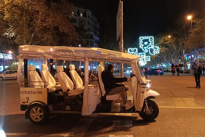 Christmas Lights Tour of Barcelona in Private Eco Tuk Tuk - Who this tour suits best, and who should think twice