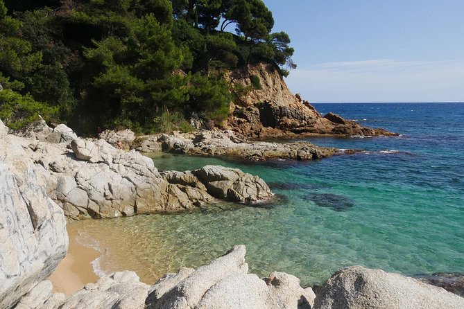 Costa Brava and Empuries Small Group Tour with Hotel Pick-Up and Boat Ride - Stop 5, Illes Medes: the marine reserve focus