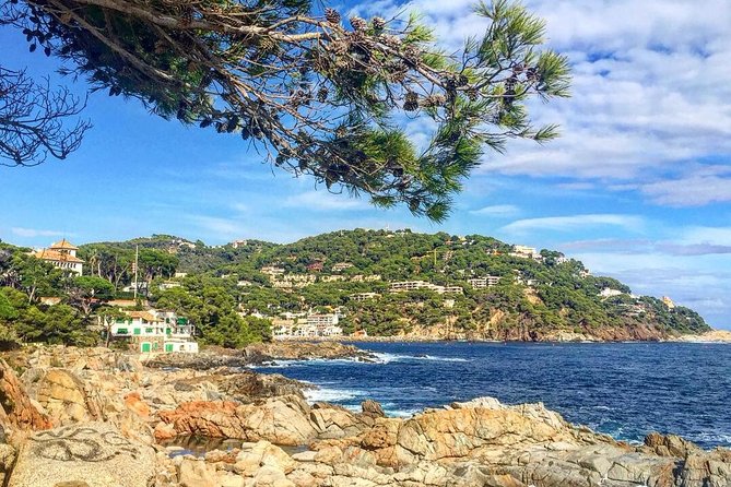 Costa Brava Private Experience by Car with local expertise - The Costa Brava coast around Baix Empordà: what you’ll see