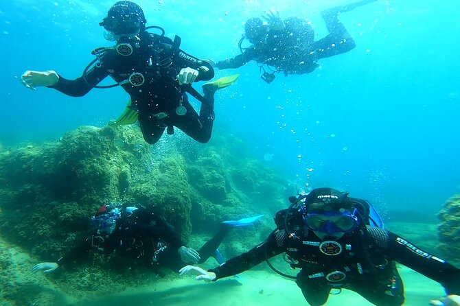 Costa Brava: Scuba Diving Tour, Lunch and a Visit to Tossa de Mar - Key Highlights You Actually Feel During the Day
