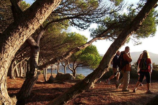 Costa Brava Small Group Hiking Tour from Barcelona - Ruins, Coves, and a Fishing-Port Detour