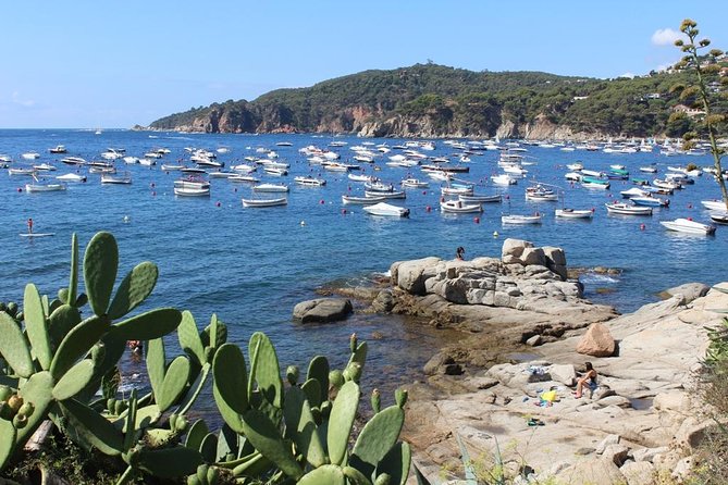 Costa Brava Typical Towns Full Day Tour from Barcelona - Camino de Ronda to Llafranc: the 30-minute walk that sets the tone