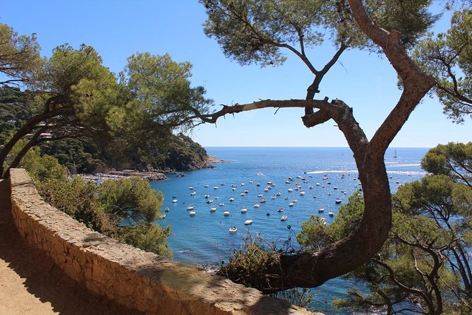 Costa Brava Typical Towns Full Day Tour from Barcelona - Peratallada: medieval stone on a rock, plus a moat inside the town