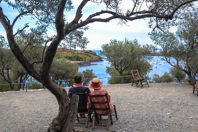 Dali Museum, House & Cadaques Small Group Tour from Barcelona - What You Actually See, and Why It Works as a Dalí Story