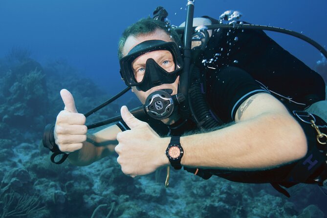 Discover PADI Diving in Barcelona - The Underwater Experience: A Protected Area, Short Sessions, Real Sea Life