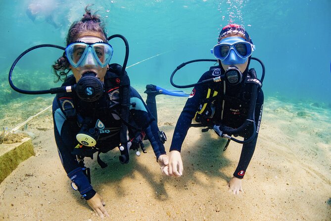 Discover PADI Diving in Barcelona - Underwater Videos and Photos: What You Can Plan For