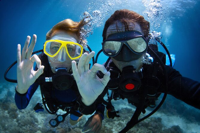 Discover PADI Diving in Barcelona - The 2-Hour Structure: Theory First, Then Controlled Water Time