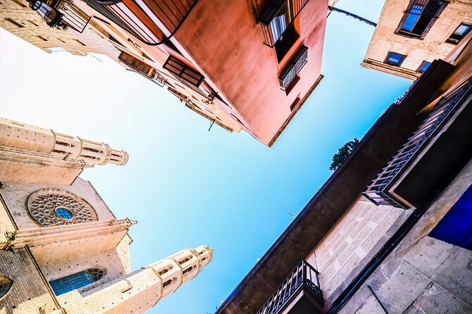 Discover the Gothic Quarter | Walking Tour | 2h - Quick Hits You’ll Care About