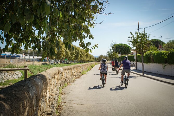 Ebike Tour, Winery, Wine Tasting & Sailing Experience(car option) - The value question: is $108 a good deal for e-bike, winery, and sail?