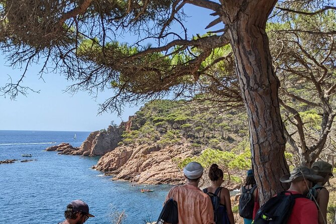Explore Costa Brava & Tossa de Mar Coastal Trails, Snorkel & Meal - SAgaró and San Pol Beach: coast scenery with a break built in
