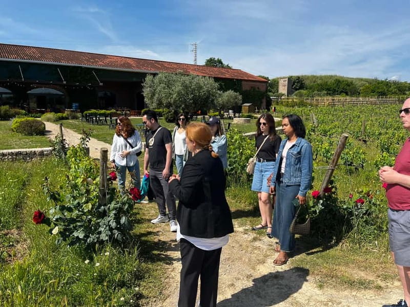 Familia Torres Winery: Gastronomic Tapas & Wine Experience - Who this tour suits best, and who should consider another option